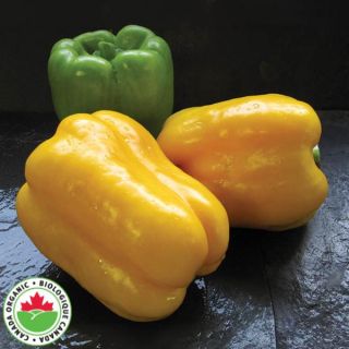 Flavourburst Organic Pepper Thumbnail
